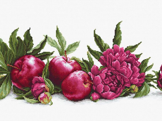 Набір для вишивання хрестом на канві на Аїді 16ст BA2357 Півонія та червоні яблука Luca-S