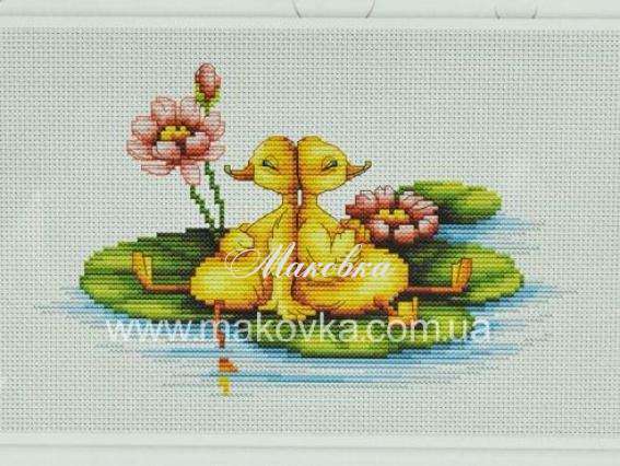 В1042, Утята, Лука-С В1042, Утята, Лука-С