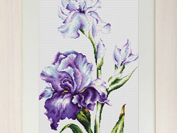 Набір для вишивання хрестиком В2251 Іриси, Лука-С