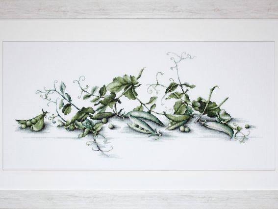 Набір для вишивання хрестиком В2256 Зелений горошок, Лука-С