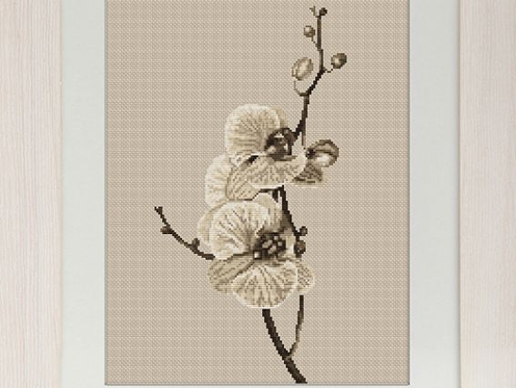 B291 Орхидея Luca-S B291 Орхидея Luca-S