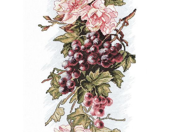 Набір для вишивання хрестиком B212 Композиція з виноградом Luca-S