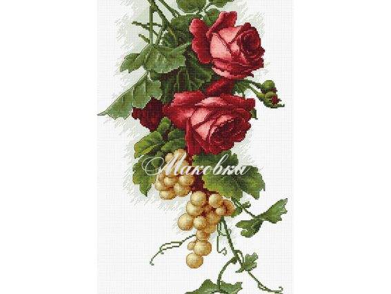 B2229 Червоні троянди з виноградом, Luca-S, вишивка нитками B2229 Червоні троянди з виноградом, Luca-S, вишивка нитками