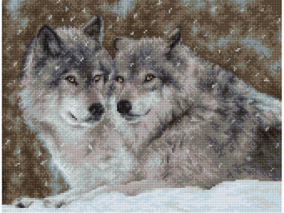 B2291 Два вовки, Luca-S, вишивка нитками B2291 Два вовки, Luca-S, вишивка нитками