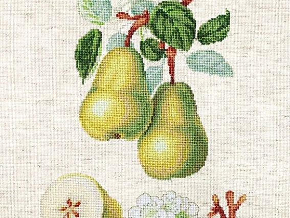 Набор для вышивания крестом ВА22420 Груши Luca-S 