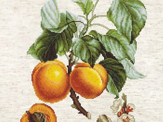 Набор для вышивания крестом ВА22450 Персики Luca-S 