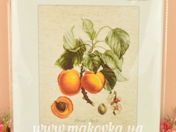 Набор для вышивания крестом ВА22450 Персики Luca-S 