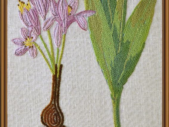 Ботаника. Безвременник осенний, ЕМ 4022 Нова Слобода Набор для вышивания Ботаника. Безвременник осенний, ЕМ 4022 Нова Слобода Набор для вышивания