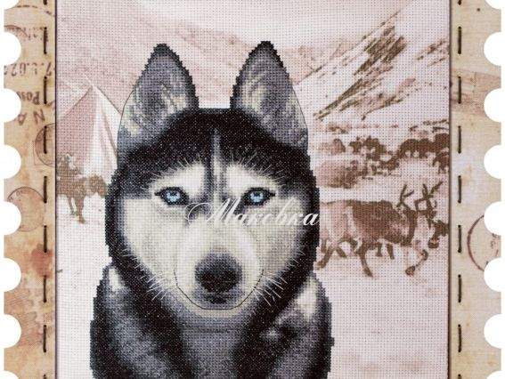 КО4019 Хаски , Нова Слобода, вышивка с рамкой