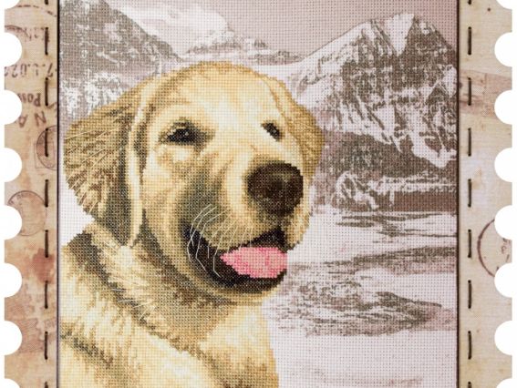 КО4021 Лабрадор , Нова Слобода, вышивка с рамкой КО4021 Лабрадор , Нова Слобода, вышивка с рамкой