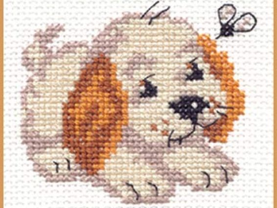 Бимка, 0-18, Алиса Бимка, 0-18, Алиса