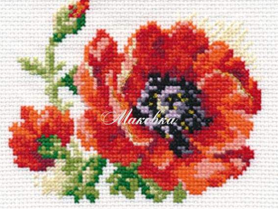 Мак, 0-80, Алиса Мак, 0-80, Алиса