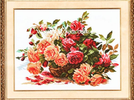 Розы, 2-06  Алиса Розы, 2-06  Алиса