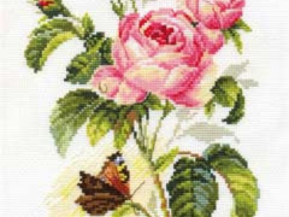 Роза и бабочка 2-13 Алиса Роза и бабочка 2-13 Алиса