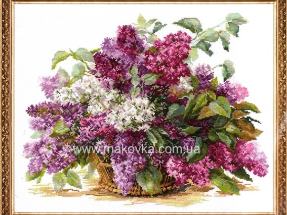 Сирень, 2-22 ТМ  Алиса Сирень, 2-22 ТМ  Алиса