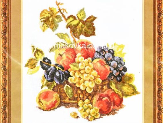 Яблоки и виноград, 5-04  Алиса Яблоки и виноград, 5-04  Алиса