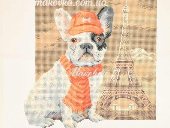 Рисунок на ткани Париж (Французский бульдог) ЧВ-6089 (10бис) , Бісерок Рисунок на ткани Париж (Французский бульдог) ЧВ-6089 (10бис) , Бісерок