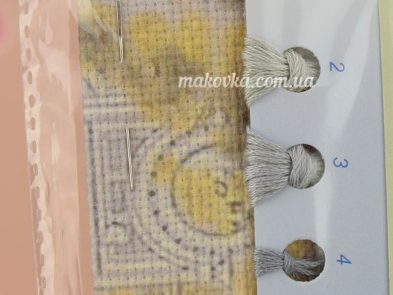 Вишивка нитками, РК-082 Гамір двигуна 27,5х16,5 см, Чаривна мыть