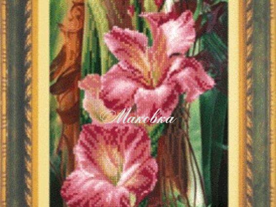 Схема на ткани СБ-111 Гладиолус, 15х30 см, Чаривна Мыть Схема на ткани СБ-111 Гладиолус, 15х30 см, Чаривна Мыть