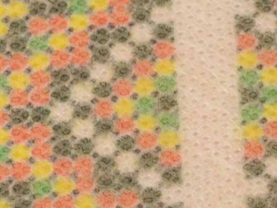 Флізелін КБФ-04 Каролінка водорозчинний сорочка жіноча Квіти шипшини