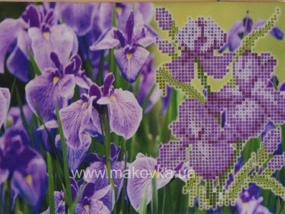 Обложка на паспорт под вышивку №35 Ирисы Обложка на паспорт под вышивку №35 Ирисы