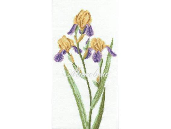 Вышивка нитками Желтые ирисы, П6 012, Повитруля Вышивка нитками Желтые ирисы, П6 012, Повитруля