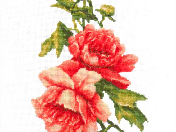Вышивка нитками Пионы, П6 026, Повитруля Вышивка нитками Пионы, П6 026, Повитруля