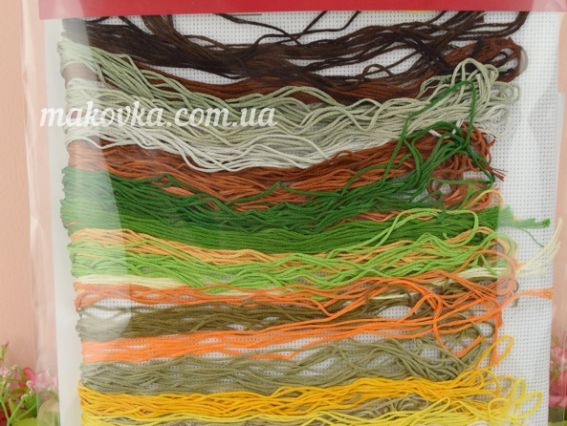 Набор для вышивания крестом Грибной бум М-870 ВДВ