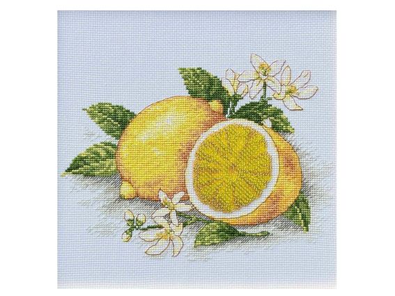 Набір для вишивання нитками Лимон М-309 ВДВ