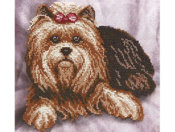 Вишивка бісером Йоркширський тер єр, ТН-0133 ВДВ Вишивка бісером Йоркширський тер єр, ТН-0133 ВДВ