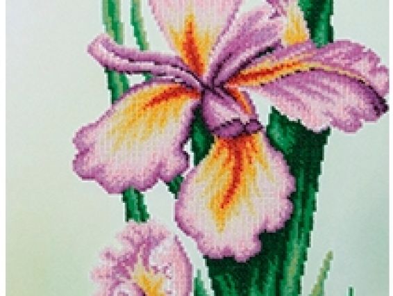 Вышивка бісером Нежность, ТН-0561 ВДВ Вышивка бісером Нежность, ТН-0561 ВДВ