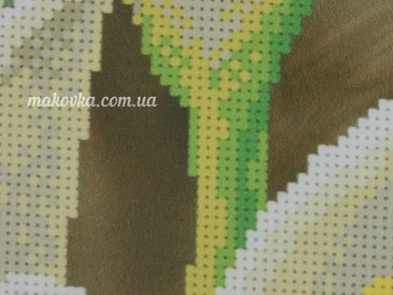 ТН-0401 Кали, ВДВ, набір для вишивання бісером