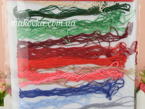 М-0830 Вишневий блюз, Набор для вышивания крестом , ВДВ