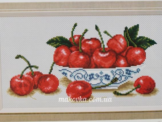 М-0830 Вишневий блюз, Набор для вышивания крестом , ВДВ