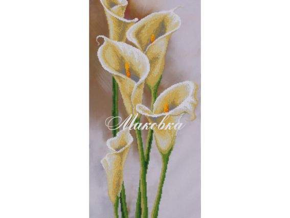 Вишивка бісером Калли ТН-0401 ВДВ Вишивка бісером Калли ТН-0401 ВДВ