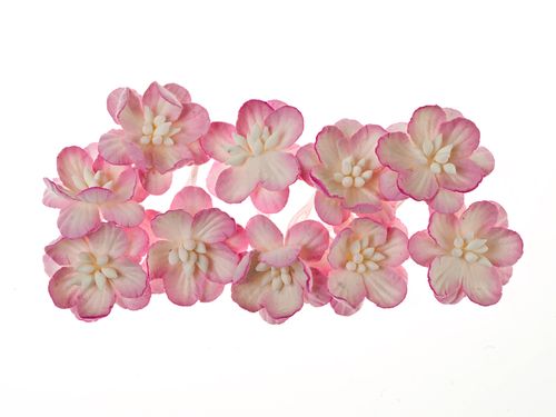 Цветы вишни, 10 шт, розово-белые, SCB300204 ScrapBerrys