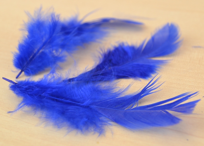 Набор перьев, Paula №26М003В-028 синие