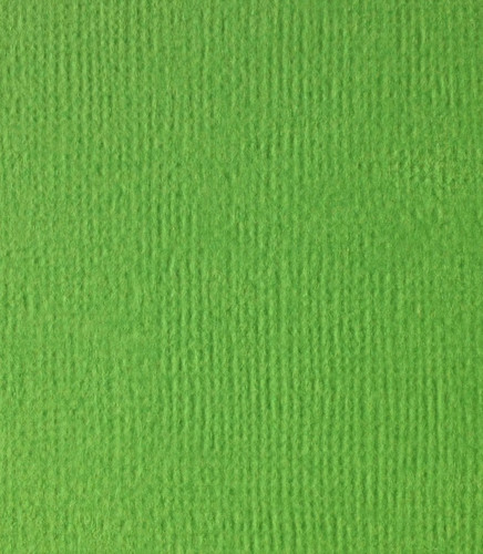 Кардсток текстурный Ярко-зеленый, 30,5х30,5 см, 216 г/м, Scrap Berrys SCB172312058, 1 шт