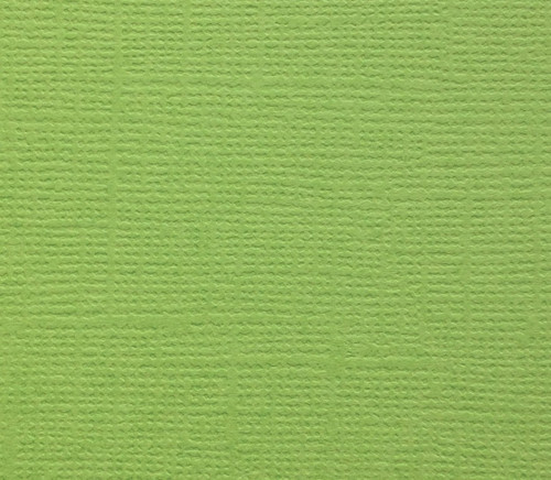 Кардсток текстурный Свежая зелень, 30,5х30,5 см, 216 г/м, Scrap Berrys SCB172312062, 1 шт
