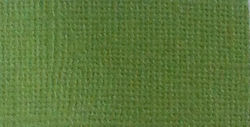 Кардсток текстурный Зеленый папоротник, 30,5х30,5 см, 216 г/м, Scrap Berrys SCB172312137, 1 шт
