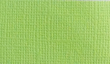 Кардсток текстурный Зеленая лужайка, 30,5х30,5 см, 216 г/м, Scrap Berrys SCB172312152, 1 шт