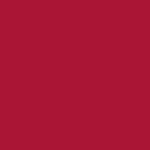 Лист EVA FOAM (фоамирана) 0,5 мм, Scrap Berrys SCB480107, красный