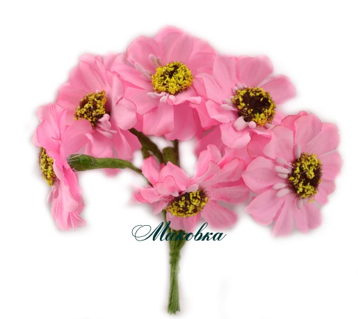 Цветы Майоры, 6 шт/уп Розовые