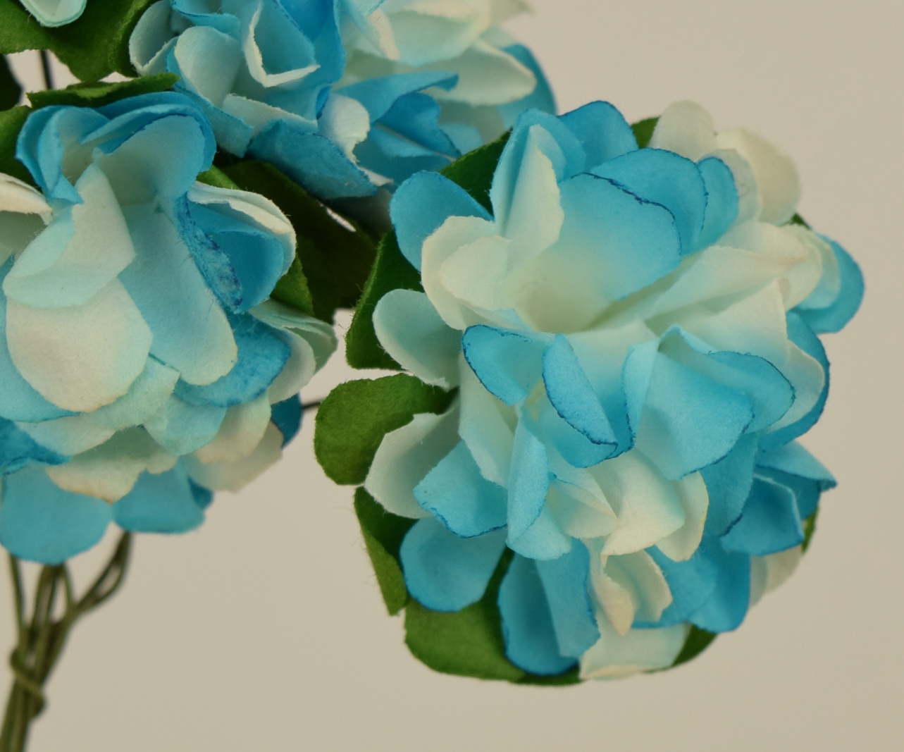 Хризантемы двухцветные, бумажные, сине-белые, 6 шт. 3,5мм