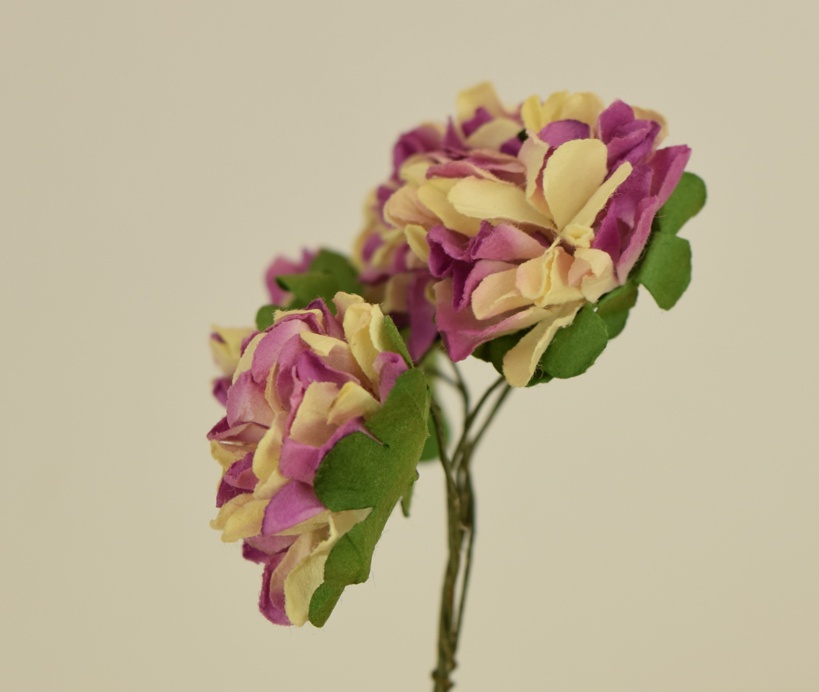 Хризантемы двухцветные, бумажные, СИРЕНЕВО-бежевые, 6 шт. 3,5мм