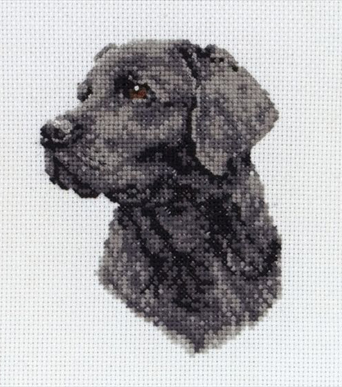 Набор для вышивания нитками PCE218 Черный лабрадор (Black Labrador)  ANCHOR