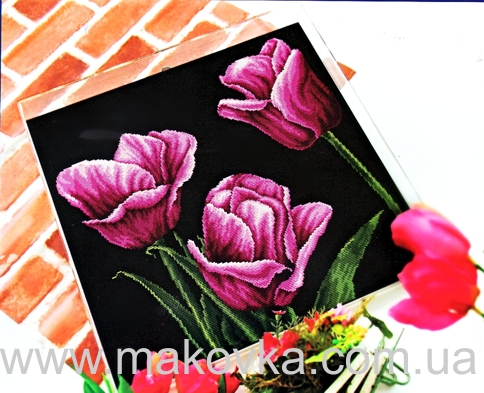 Фиолетовый тюльпан 90807, Dome 