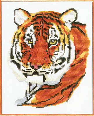 тигр ИН